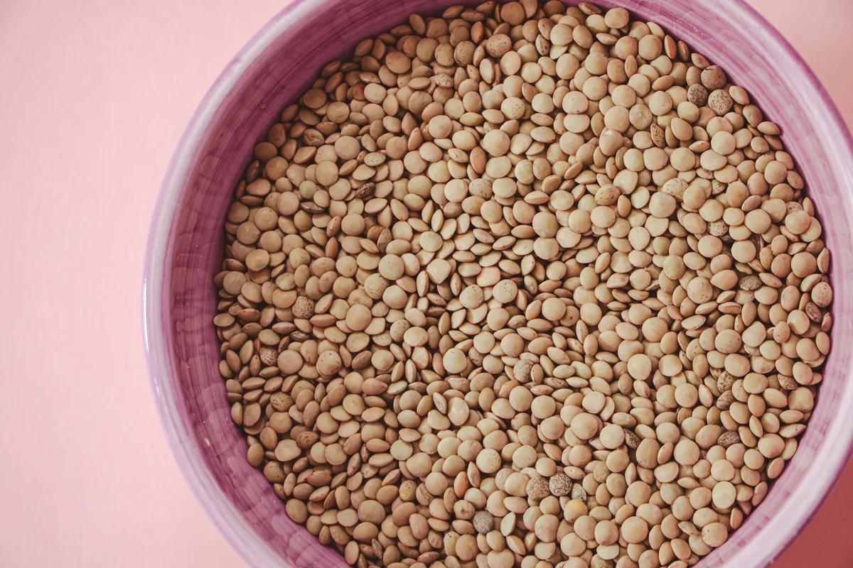 Overhead view of dry brown lentils filling a purple ceramic bowl on a pink surface