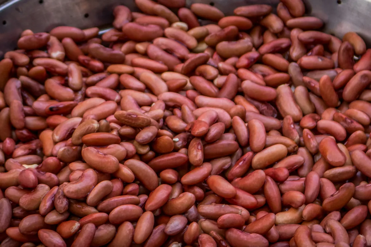 A steel bowl filled with dried red kidney beans