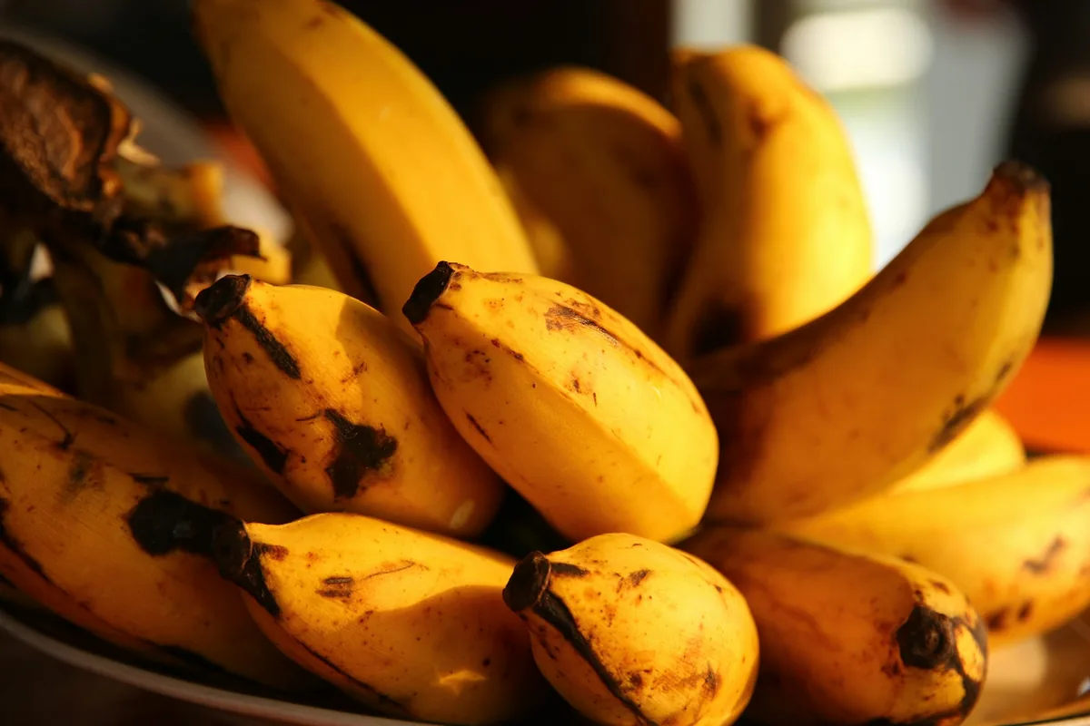 A bunch of ripe yellow bananas in warm sunlight