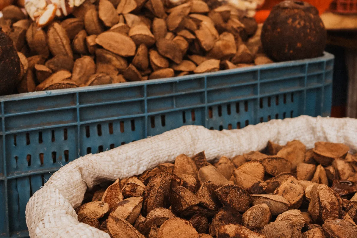 Brazil nuts in their shells piled in a crate and a sack at a market stall