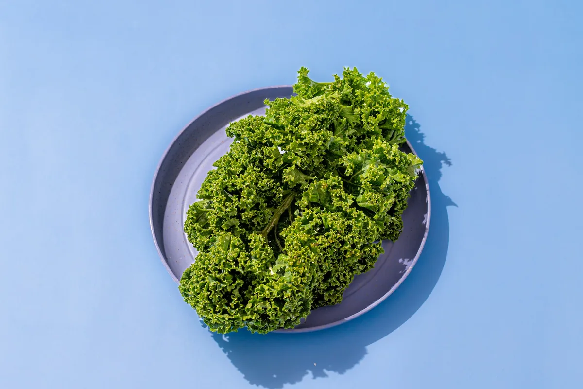 Fresh curly kale on a grey plate against a bright blue background